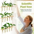 thumbnail image 5 of XXXFLOWER Wall Hanging Propagation Station with Wooden Stand 5 Glass Test Tubes 3 Tiered Planters Wall Terrarium, 5 of 8