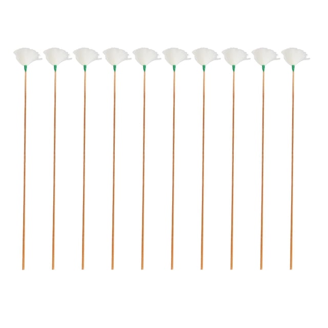 Wisewang 10 Pieces Goose Feather Earpicks for Adults Children Ear Pick Ear Spoon White Thread S