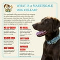thumbnail image 7 of Country Brook Petz® 1 1/2 inch Cheetah Martingale Dog Collar, Large, 7 of 7