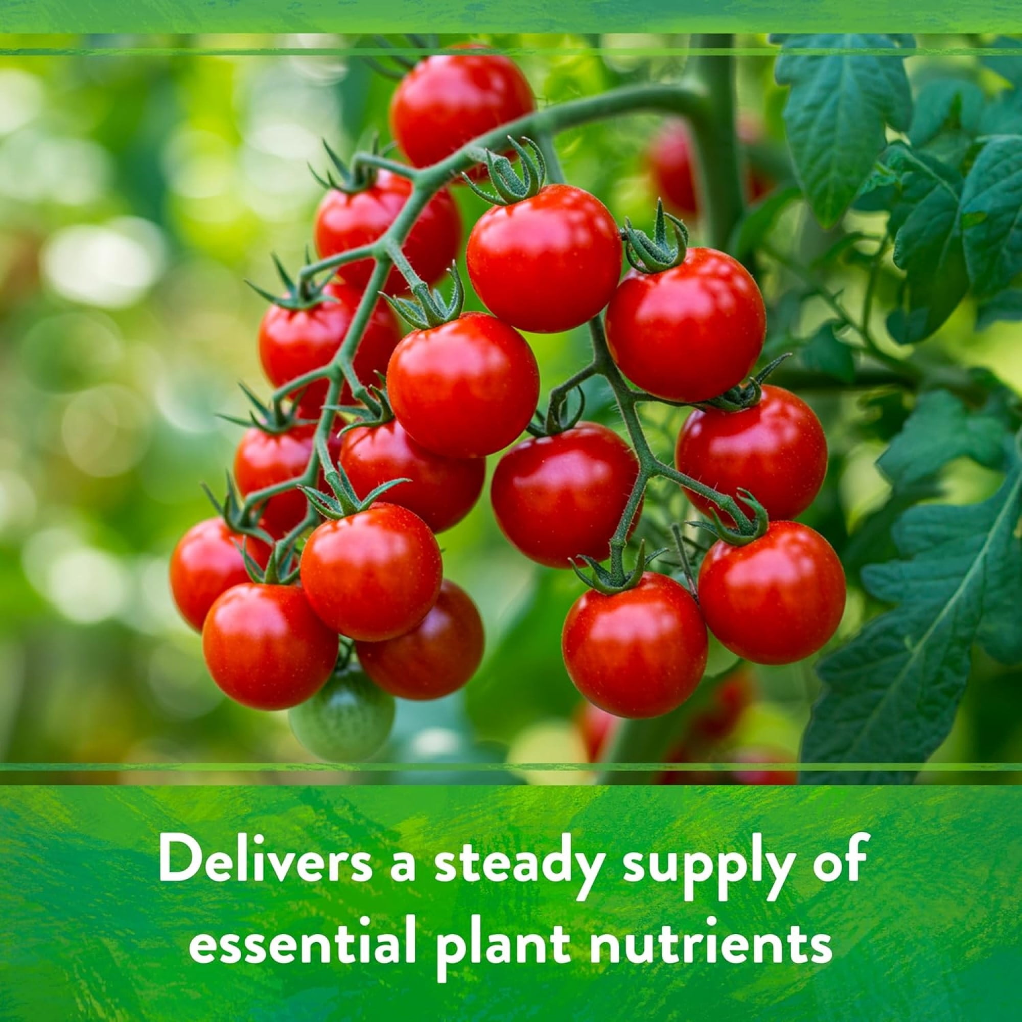 Down To Earth All Purpose Tomato & Vegetable Mix 4-6-2 Organic Plant Food, 40 lb Bag