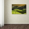 thumbnail image 2 of Trademark Fine Art "Sunset Rice" Canvas Art by Philippe Hugonnard, 2 of 2