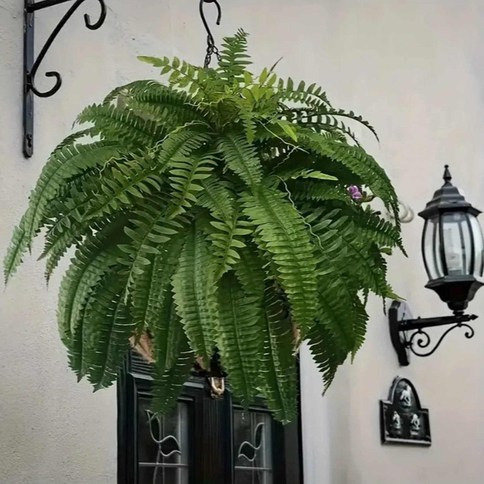 Liulin 2Pcs Artificial Boston Fern Bush, Large Artificial Ferns for Outdoors, Realistic Fake Ferns for Home Garden Porch Office Decor, Faux Ferns for Outdoor Planter, Ferns Artificial Plants, 24"