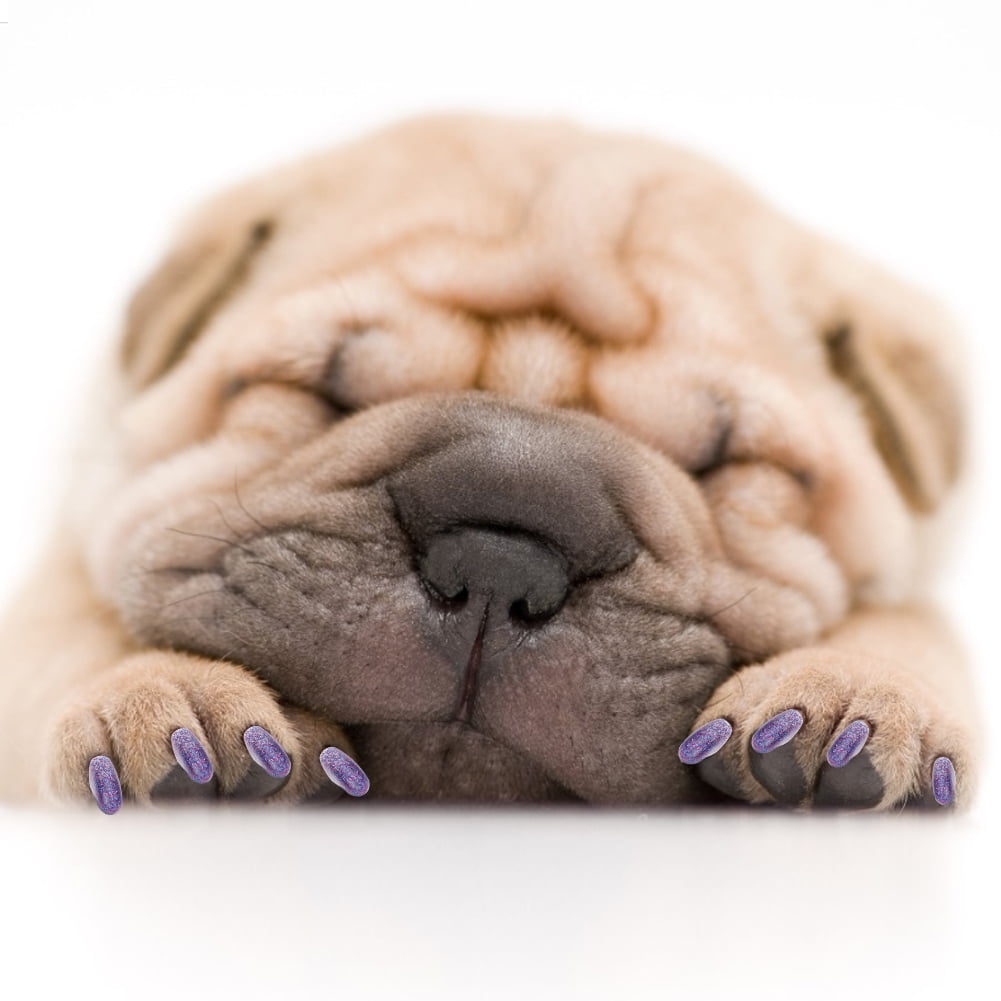 Dog Nail Cover Paw Claw Soft Nail Cover Pet Nail Grooming Cover 100PCS Animals Medium Dogs For Small Dogs Large Size Dogs