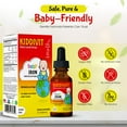 thumbnail image 5 of Kiddivit Baby Iron Liquid Drops with Vitamin B12 & Folate - 60 Daily Servings, 2 Fl Oz (60 mL) - Inulin Fortified (Prebiotic, Dietary Fiber) - Sugar Free, Gluten Free, Vegetarian Friendly, 5 of 8