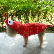 NICEXMAS Dog Clothing Dragon Lobster Costume Winter 1Pack