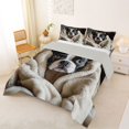 thumbnail image 2 of Homewish Boston Terrier Dog Queen Comforter Set,Kawaii Animal Comforter Sets Queen,Beige,Light Gray Reversible,3-Piece,1 Comforter and 2 Pillowcases, 2 of 7
