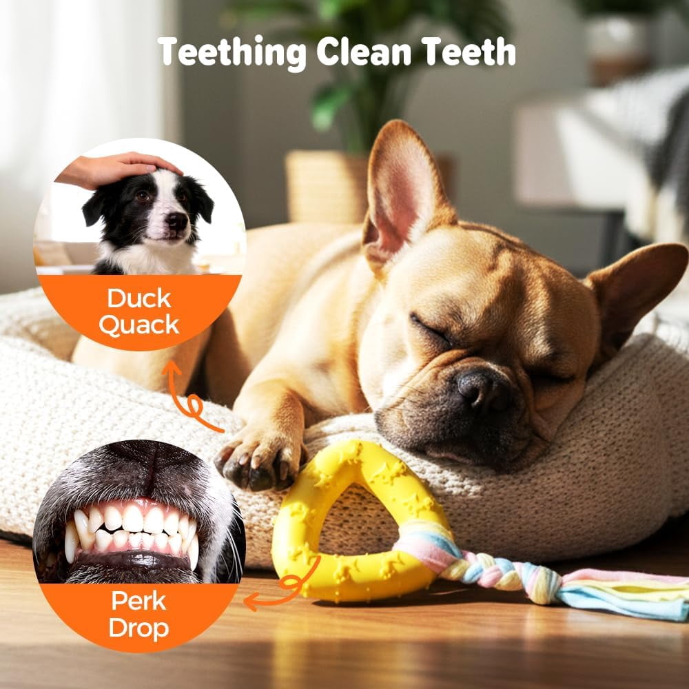 24 Pack Dog Chew Toys, Variety Rubber Fabric Shapes Teeth Cleaning Boredom Relief Training Play for Puppy Teething Small Dogs