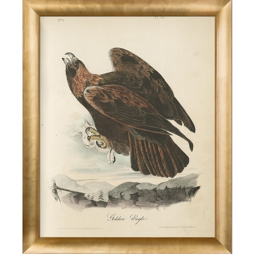 La Pastiche 'Golden Eagle' Framed Painting Print on Canvas