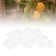 thumbnail image 5 of Dispositivo de Enraizamiento de Plantas, Caja de Bolas de Propagació de Alta Presión, Bola de Injerto de Plantas para Jardineros, 5 of 7