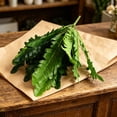 thumbnail image 5 of 2Pcs Artificial Zebra , 19.6" Zebra Leaf Spray, Aphelandra Squarrosa with Green & Yellow Stripes, Maintenance Free Greenery for Home Office Table Centerpiece, 5 of 6