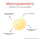 thumbnail image 5 of Suplemento del Grupo de Investigación de Alergias Micro Liposomal C 1000 mg, 5 of 8