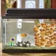 thumbnail image 5 of Figuritas en miniatura de vidrio soplado a mano, Tanque De Agua de peces, hierba, peces, adornos artísticos, accesorios de decoración del hogar, regalo, 5 of 6
