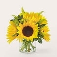 thumbnail image 2 of Beaming Sunflower Bouquet - Premium, 2 of 3
