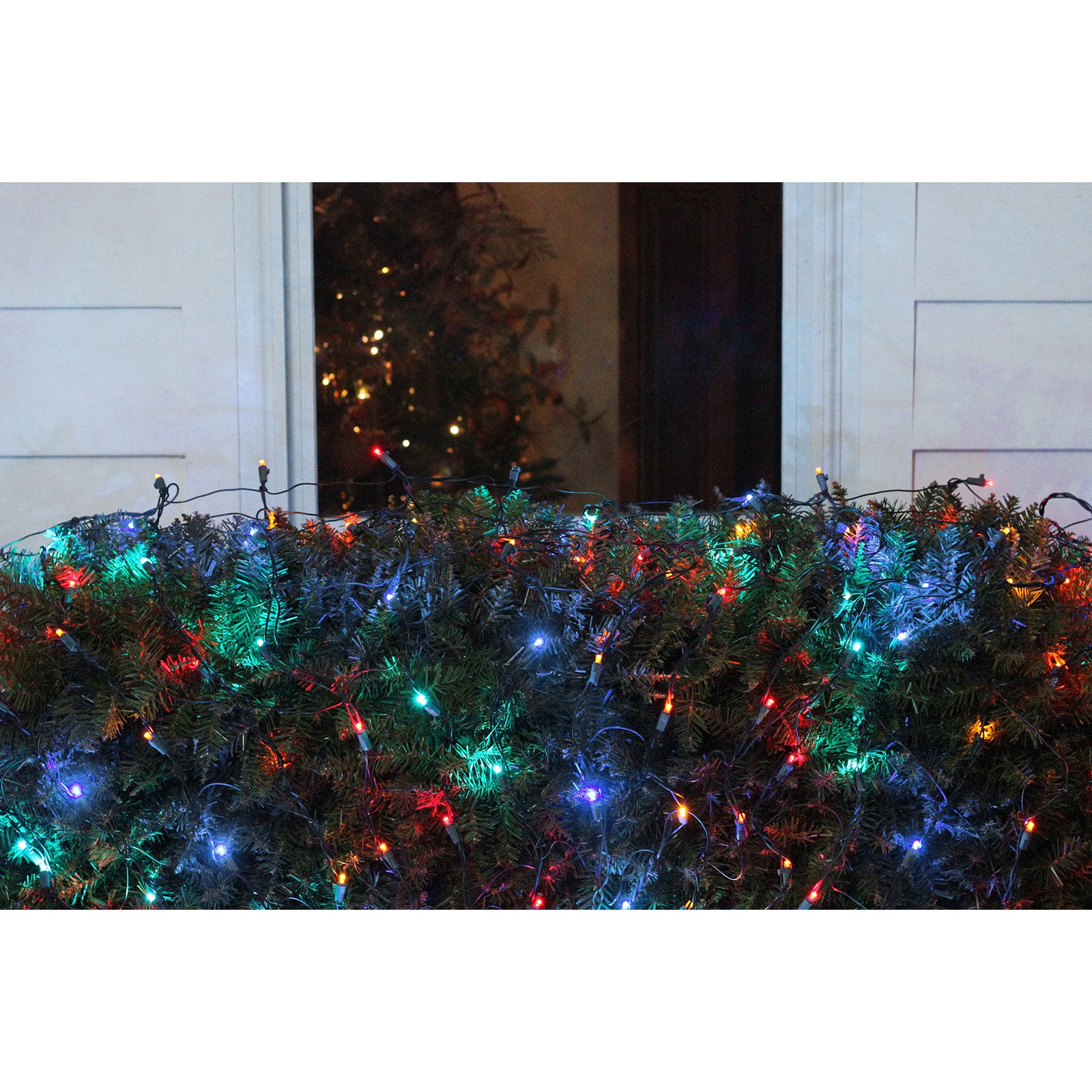 Northlight 150 LED Net Christmas Lights on Green Wire