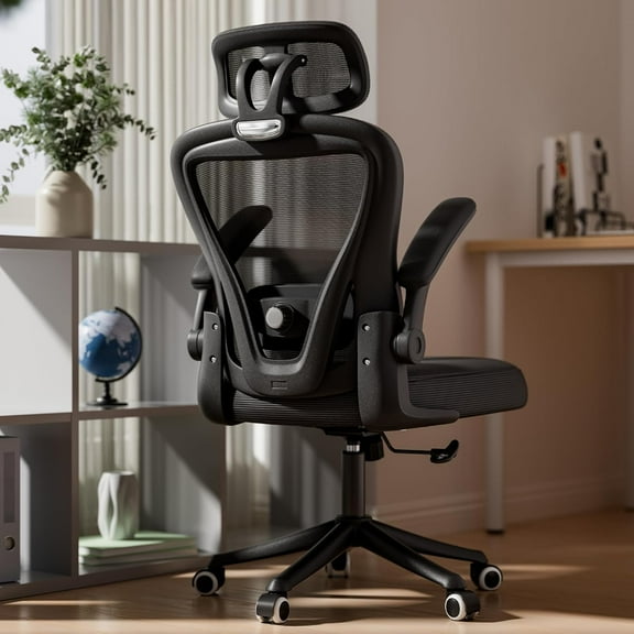 iooHug Ergonomic Mesh Office Chair with Adjustable Lumbar Support, Computer Desk Chair with Headrest, Flip-Up Arms, Black