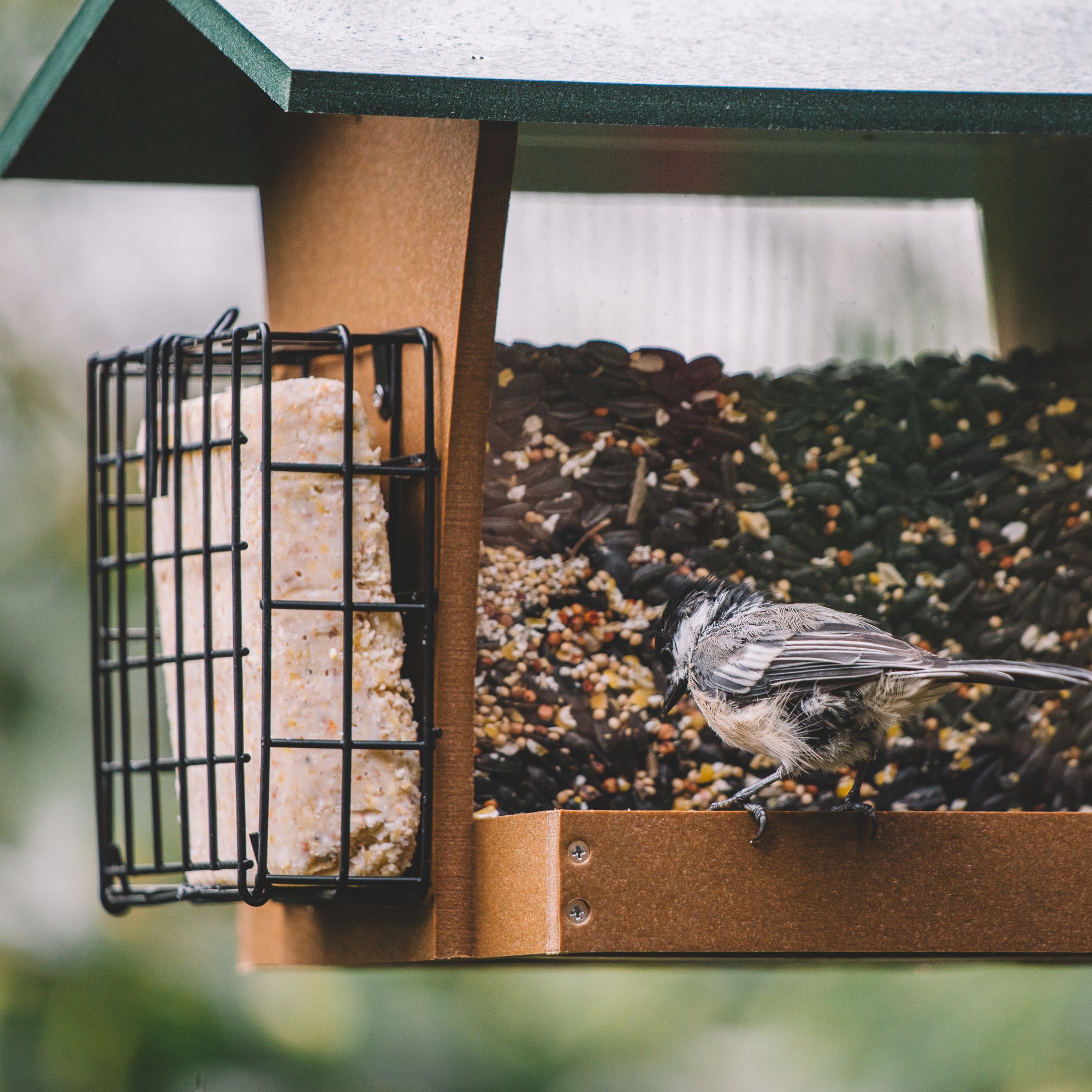 Backyard Expressions SIERRA Plastic Lumber Bird Feeder w/ Suet Cages