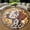Dog21, variant on Round Rug, Llama Alpaca Light Soft Washable Carpet, Non-Slip Floor Mat for Living Room Bedroom Home Decor 24 Inch