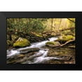 thumbnail image 2 of Head, Danny 24x17 Black Modern Framed Museum Art Print Titled - Running FreeI, 2 of 5