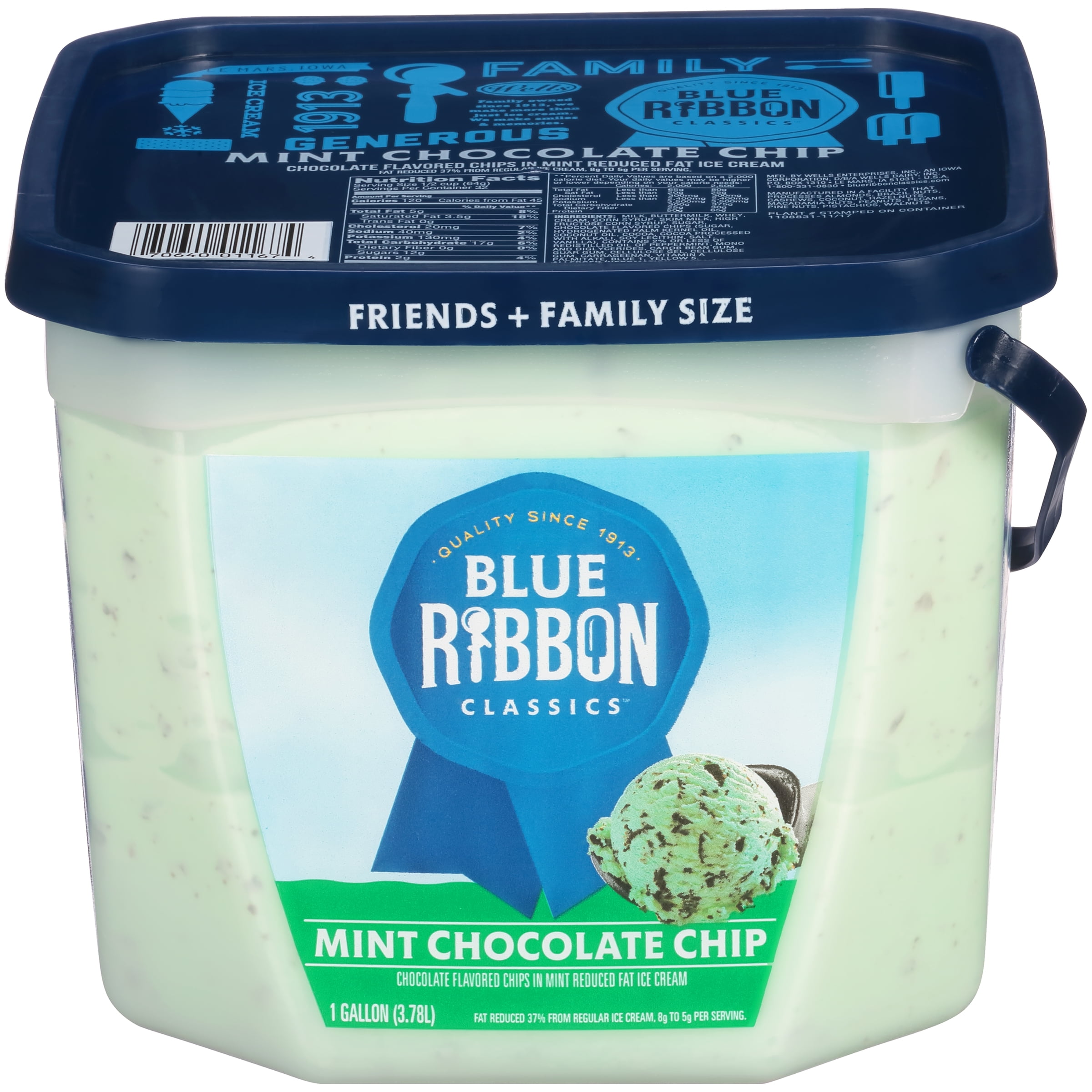 Blue Ribbon Classics Mint Chocolate Chip Ice Cream Pail, 128 fl oz