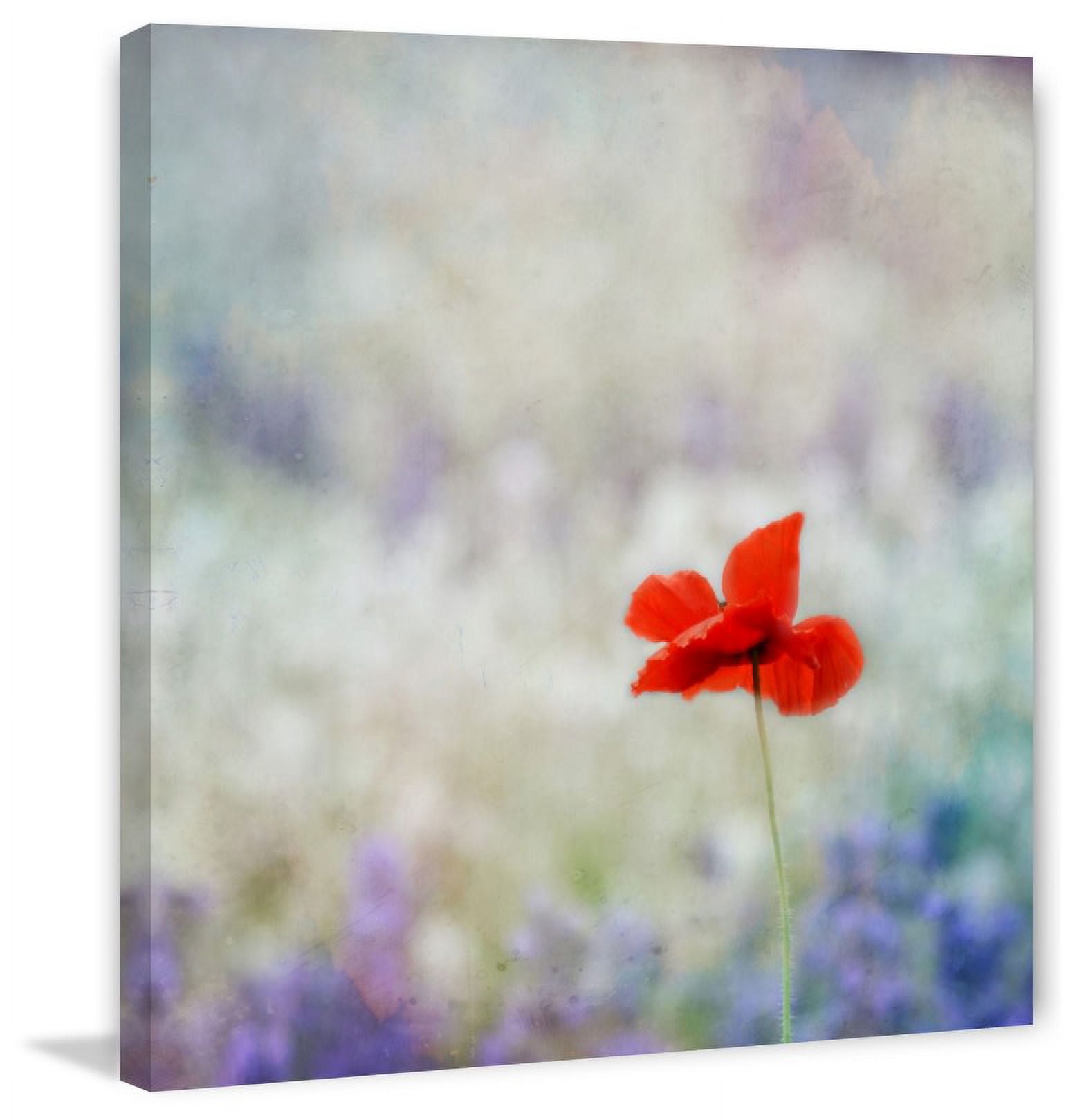 Marmont Hill "Dream On 2" by Robert Dickinson Painting Print on Canvas