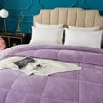 thumbnail image 5 of Kasentex Hydrophilic Fiber Reversible Plush Sherpa Twin Comforter, Blue, 5 of 6