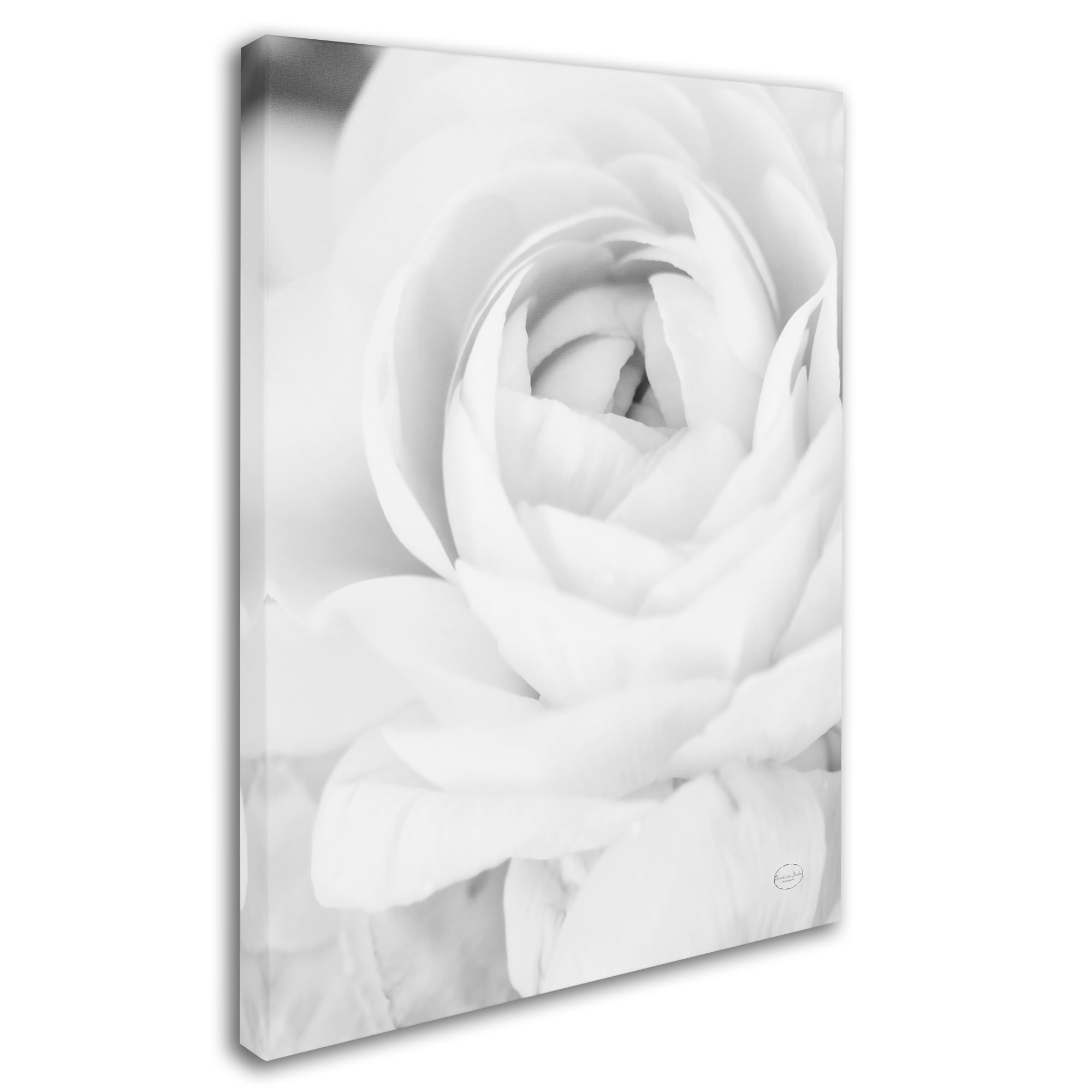 Black and White Petals III' Canvas Art by Brookview Studio