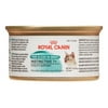 Royal Canin Feline Health Nutrition Instinctive 7+ Thin Slices in Gravy All Breeds Senior Wet Cat Food, 5.8 oz