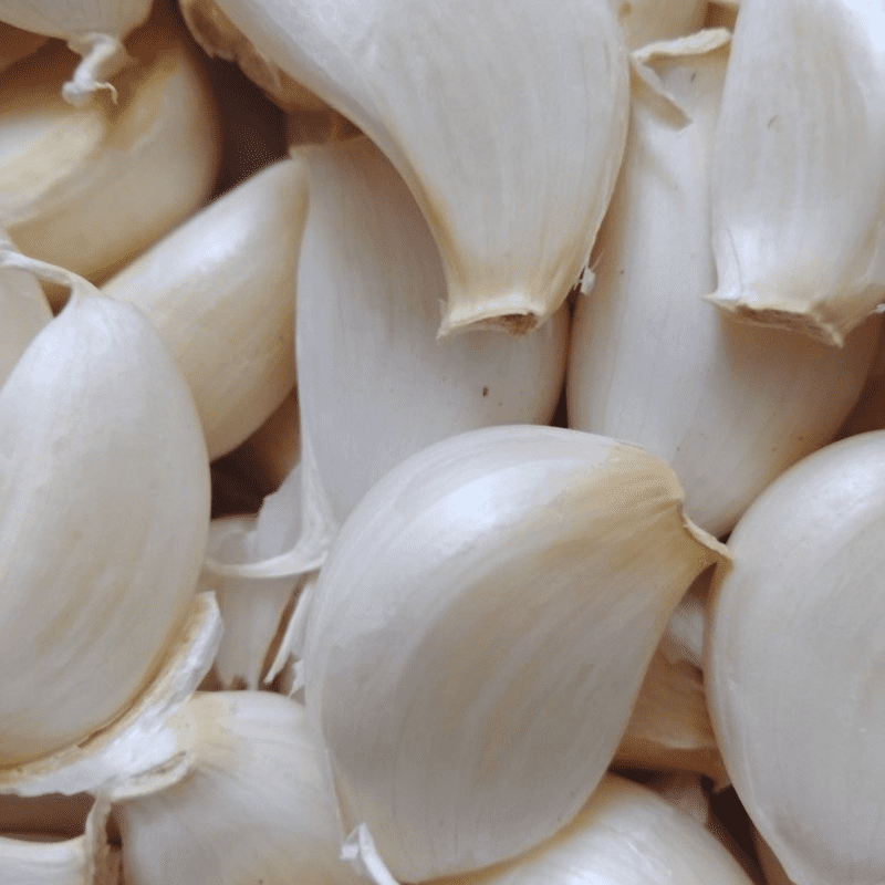 California White Softneck Garlic Bulbs 1lbs, Ready to Grow Garlic Cloves for Indoor Containers and Outdoor Beds