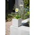 thumbnail image 5 of Veadek Geo Series Cube 5" Planter - White, 5 of 8