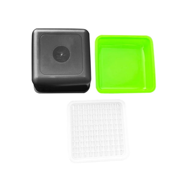 Caja para brotes de maní, bandeja de cultivo multifuncional y práctica, maceta para germinar. 3 piezas
