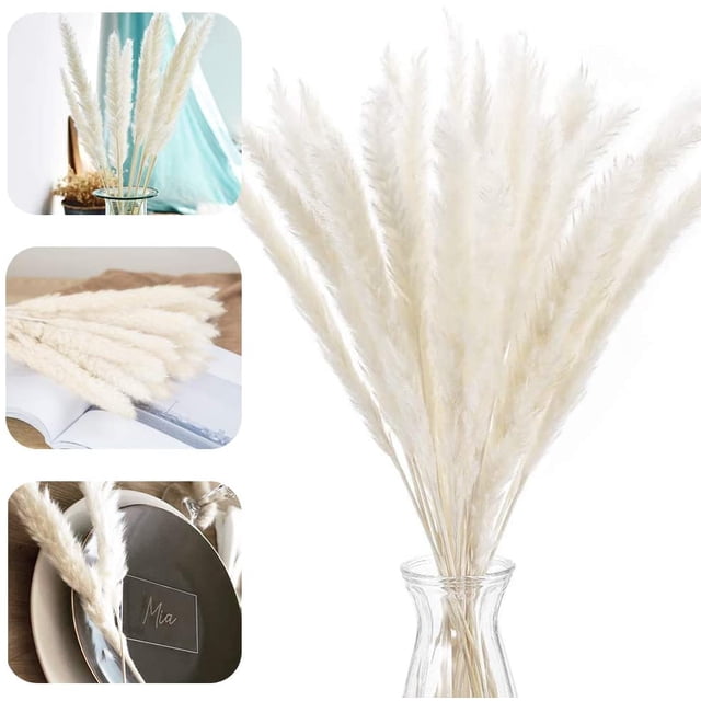 Hierba de pampa, hierba de pampa natural, hierba de pampa seca, fragmitas, ramo de flores secas, decoración para el hogar, sala de estar, decoración de interiores, fotografía, hotel, boda Xemadio LN-2061-3