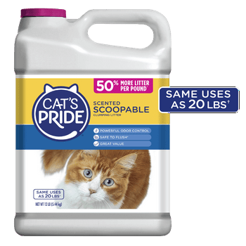 Cats Pride Scoopable Scented Lightweight Clumping Cat Litter, 12 lb Jug