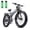 GRAY-1500W Dual battery, variant on Folding Electric Bike for Adult 26'', 1500W E-Mountain Bike 48V 20Ah UL2849 Removable Battery Fat Tire Ebike up to 30MPH Long Range Off Road Ebike Beach Snow Dual Hydraulic&Brakes Bicycle