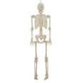 thumbnail image 6 of Way To Celebrate 5 ft Poseable LED Illuminated Skeleton Halloween Decoration, 6 of 6