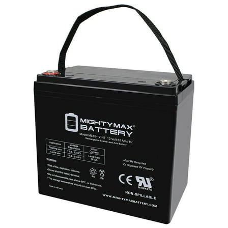 12V 55AH INT Battery Replacement for Raion Power RG12550I4