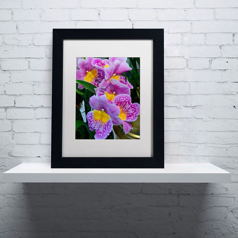 Trademark Fine Art "Happy Orchids" Canvas Art by Kurt Shaffer, White Matte, Black Frame