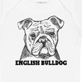 thumbnail image 4 of Inktastic English Bulldog Sketch Portrait with Dog Breed Name Boys or Girls Baby Bodysuit, 4 of 5