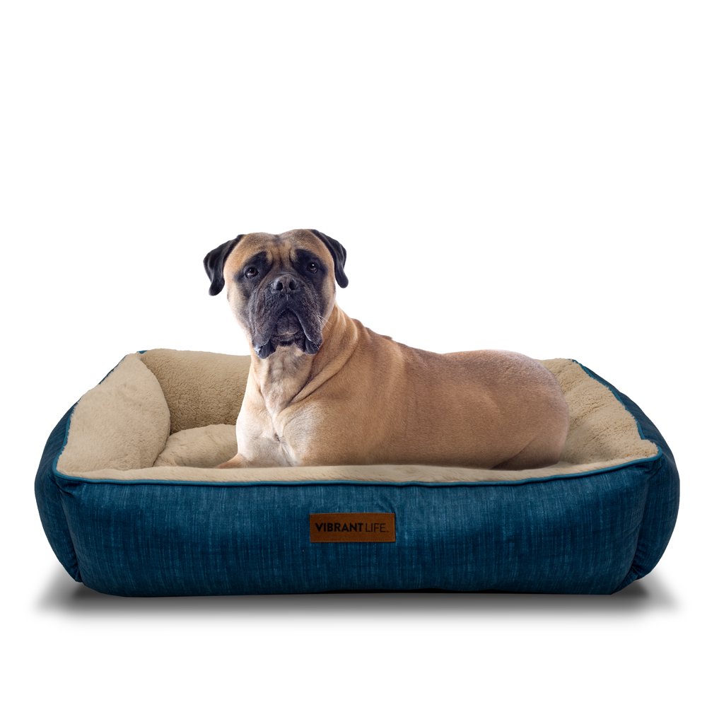 Vibrant Life 27" x 36" Lounger Pet Bed, Large, Blue Denim Print