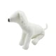 thumbnail image 2 of Maniquíes de cuero PU para perros, maniquí de exhibición de ropa para mascotas, suministros para mascotas, modelos para perros Talla L Blanco Sunnimix Maniquí de perros, 2 of 8