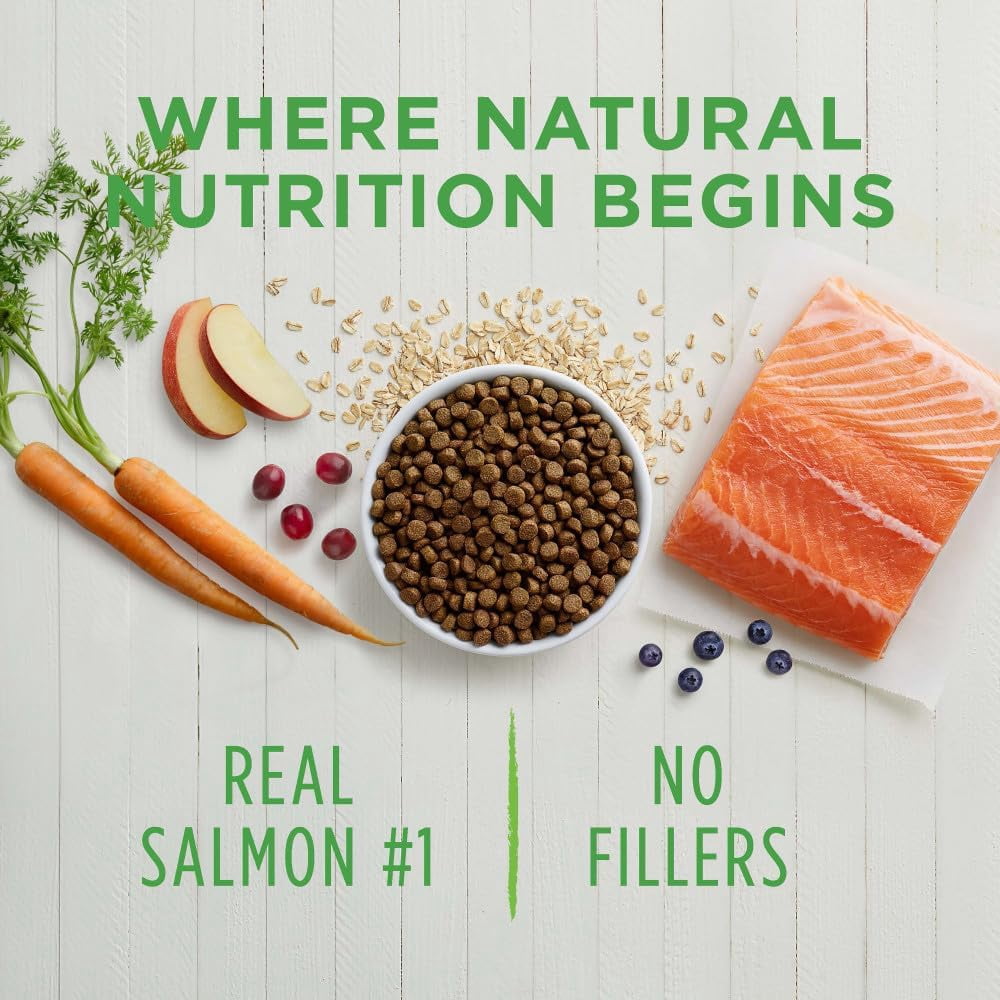 Instinct Be Natural Real Salmon & Brown Rice Recipe Natural Dry Dog Food by Nature's Variety, 24 lb. Bag