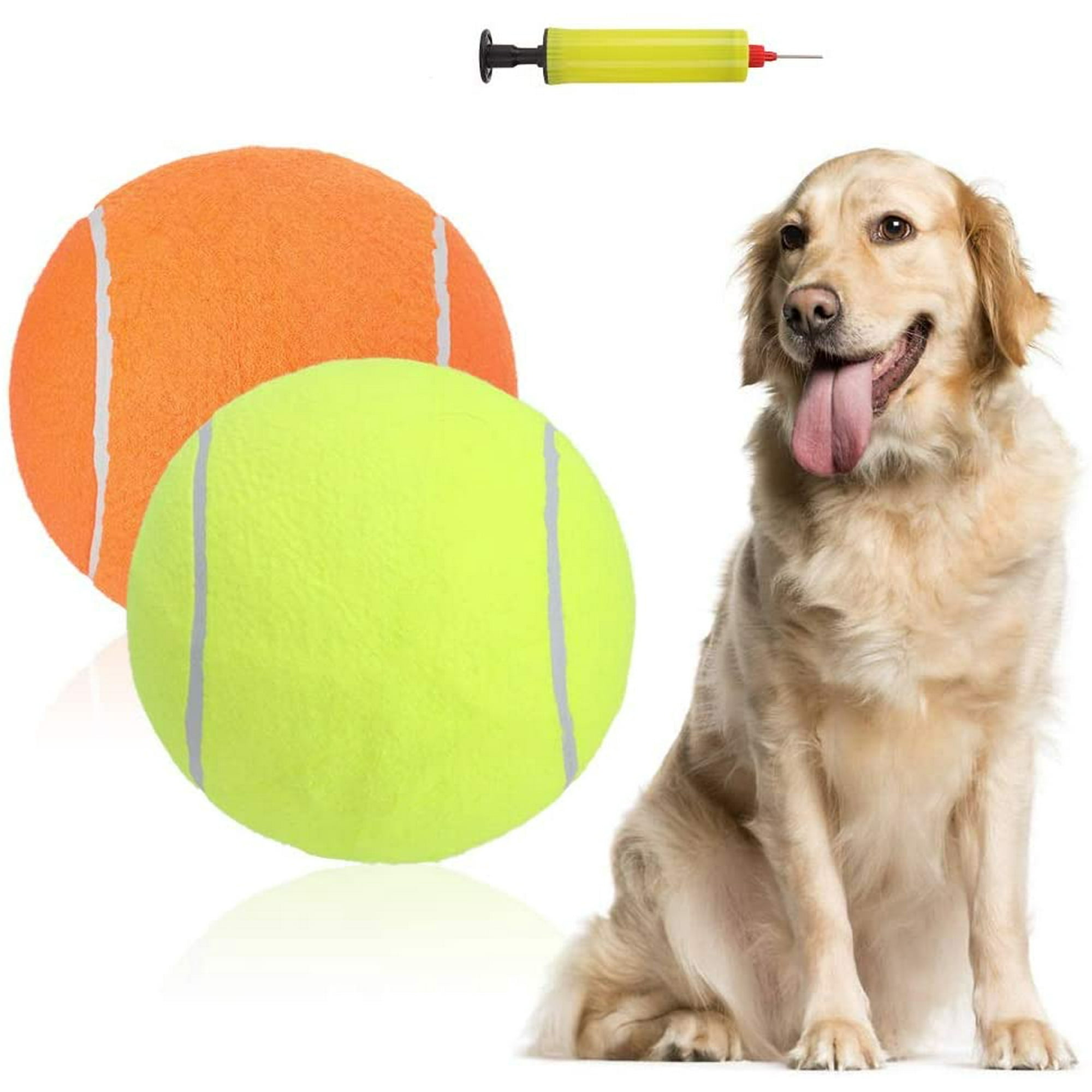 can dogs see tennis balls