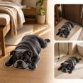 thumbnail image 6 of Funny 2D Dog Shaped Floor Mat, Soft Non-Slip Fleece Door Rug for Entryway Bedroom Bathroom, Cute Pet Print Indoor Carpet, 23.6 x 15.10 Inch Multicolor, 6 of 6