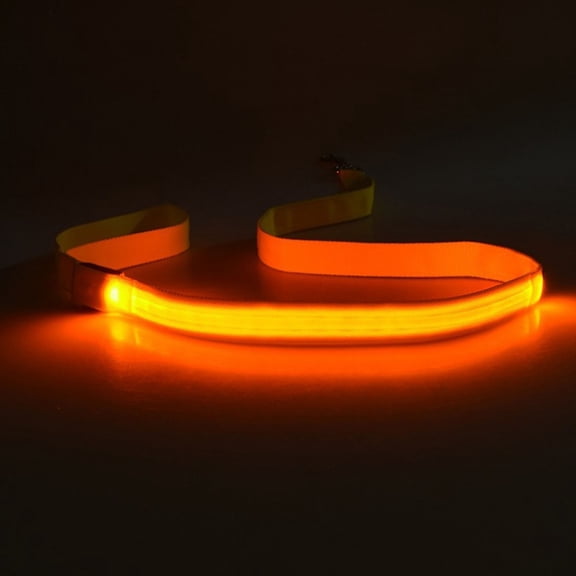 YongCo 4Pcs Glowing Dog Leash Rechargeable Nylon for Nighttime and Comfort for Pet