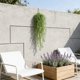 thumbnail image 5 of Plantas artificiales colgantes de 80 cm, paquete de 3, hiedra artificial con hojas de ratán para decoración de paredes, interiores y exteriores, bodas, hogar y jardín (verde). Rkxzt, 5 of 8