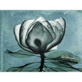 thumbnail image 2 of Koetsier, Albert 18x15 Gold Ornate Wood Framed with Double Matting Museum Art Print Titled - Magnolia Blues 2, 2 of 4