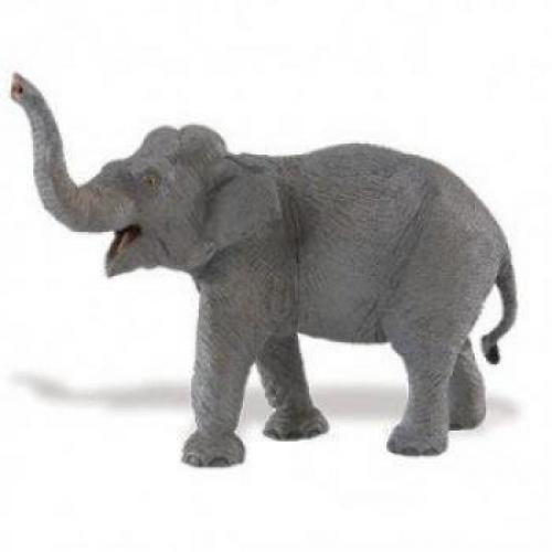 Asian Elephant Wildlife Figure Safari Ltd NEW Educational Kids Adults Toys 
