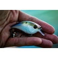 thumbnail image 3 of 6th Sense – Curve 55 Mid-Diving Crankbait Bass Fishing Lure, Hunting Action Design, 3 of 9