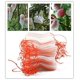 thumbnail image 4 of 20 unidades de insectos, bolsa de barrera de red de mosquito, bolsa de malla protectora de frutas para plantas, bolsa de malla pequeña para jardín, 15x25 cm, 20x30cm Afortunado Sencillez, 4 of 5