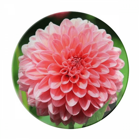 

Peach blossom Beautiful Flowers Plate Decorative Porcelain Salver Tableware Dinner Dish