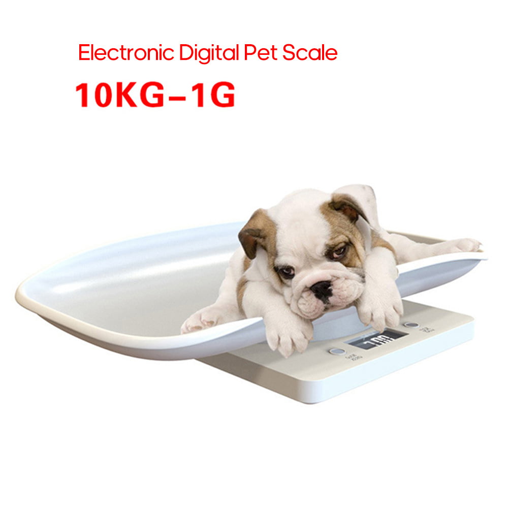 Newborn Pet Scale for Puppy and Kitten, Pet Scale with Detachable Tray for  Dog Whelping Nursing, Weigh Pets Baby in 0.1 Grams, 11lbs (±0.1 Gram), Size